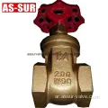 PEX PIPE BRASS GATE VALVE مع اتصال